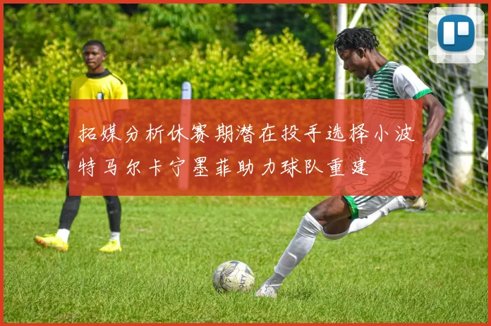 拓媒分析休赛期潜在投手选择小波特马尔卡宁墨菲助力球队重建