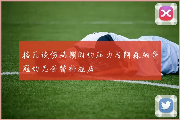 格瓦谈伤病期间的压力与阿森纳争冠的无奈替补经历